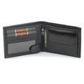 Peterson PTN 304 2-1-1