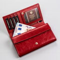 Peterson PTN PL-411 MULTI