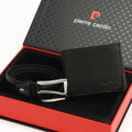 Pierre Cardin ZG-119-BR