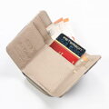Peterson PTN 423229-BF SILVER
