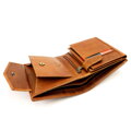 Pánska peňaženka Pierre Cardin TILAK110 326