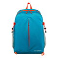 Peterson PTN 23006