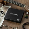 Cavaldi 0104L-P-BS RFID