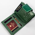 Peterson PTN 42329-DSL