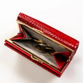 Peterson PTN 42108-DSL