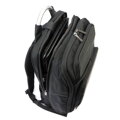 Pierre Cardin 4449 ALAN05