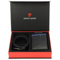 Pierre Cardin ZG-139-BR
