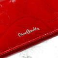 Pierre Cardin 02 LEAF-N 102