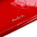 Pierre Cardin 02 LEAF-N 106