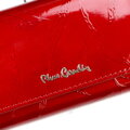 Pierre Cardin 02 LEAF-N 108