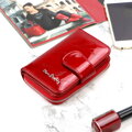 Pierre Cardin 02 LEAF-N 115