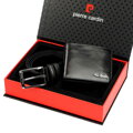 Pierre Cardin ZG-141