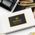 Rovicky RPN-20A-YM