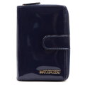 Mato Grosso 0813-32 RFID