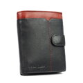 Pierre Cardin ZP-002