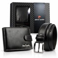 Pierre Cardin ZP-006