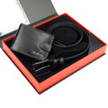 Pierre Cardin ZP-006