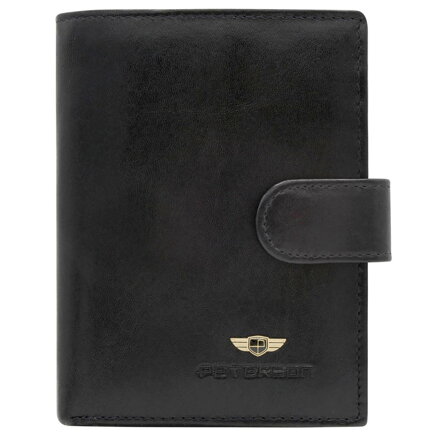 Peterson PTN N104L-VT