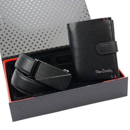 Pierre Cardin ZG-207-BA