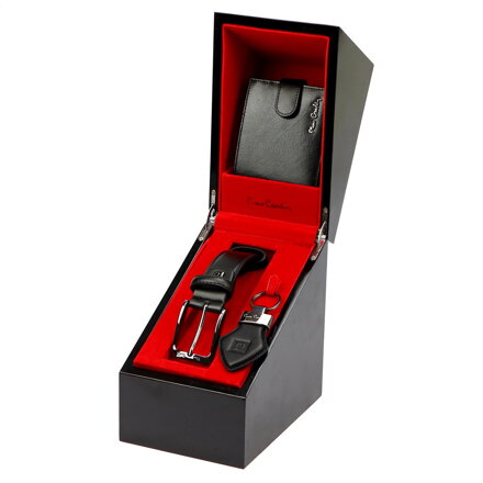 Pierre Cardin ZG-220 PREMIUM VIP