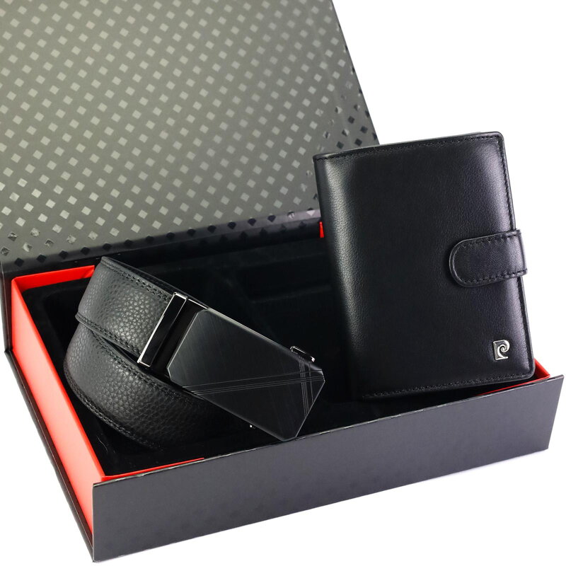 Pierre Cardin ZG-210-BA