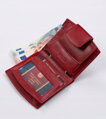Dámska peňaženka z systemem RFID Protect — Peterson