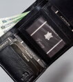 Dámska peňaženka z prírodnej kože s mincovníkom - 4U Cavaldi