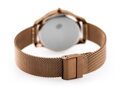 Hodinky G. ROSSI - 6748B-2B3 (zg788e) brown + BOX