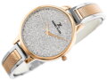 Hodinky DANIEL KLEIN 12186-4 (zl506c) + BOX