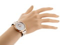 Hodinky DANIEL KLEIN 12186-4 (zl506c) + BOX