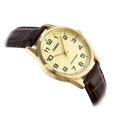Hodinky pánske CASIO MTP-V001GL-9BUDF (zd080e)