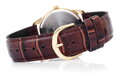 Hodinky pánske CASIO MTP-V001GL-9BUDF (zd080e)
