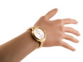 Hodinky G. ROSSI - 11696B (zg706c) + BOX