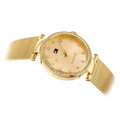 Hodinky dámske TOMMY HILFIGER 1781864 LYNN (zf507a)