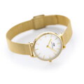 Dámske hodinkyDANIEL WELLINGTON DW00100348 - Petite Evergold 32mm