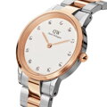 Dámske hodinky DANIEL WELLINGTON DW00100358 - ICONIC LINK LUMINE 32mm (zw510a)