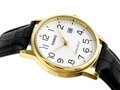 Hodinky pánske CASIO MTP-V002GL-7B2UDF (zd106a)