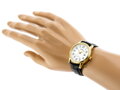 Hodinky pánske CASIO MTP-V002GL-7B2UDF (zd106a)
