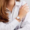 Hodinky dámske DANIEL WELLINGTON DW00100163 - PETITE MELROSE (zx704b)