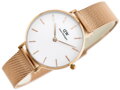 Hodinky dámske DANIEL WELLINGTON DW00100163 - PETITE MELROSE (zx704b)