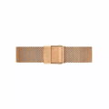 Hodinky dámske DANIEL WELLINGTON DW00100163 - PETITE MELROSE (zx704b)