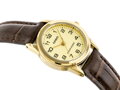 Hodinky dámske CASIO LTP-V001GL-9BUDF (zd588b)