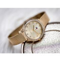DÁMSKE HODINKY TOMMY HILFIGER 1782699 Demi (zf509a) + KRABIČKA