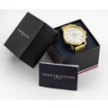 Pánske hodinky TOMMY HILFIGER 1710403 KANE (zf077a)
