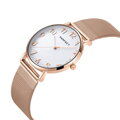 Dámske hodinky PERFECT F342-07 (zp514d) + BOX