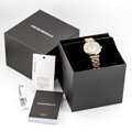 Dámske hodinky EMPORIO ARMANI AR1907 - CLASSIC (zi501c)
