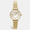 Dámske hodinky EMPORIO ARMANI AR1907 - CLASSIC (zi501c)