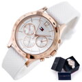Dámske hodinky TOMMY HILFIGER 1782199 HAVEN (zf539b)