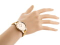 Hodinky DANIEL KLEIN 11806A-3 (zl507b) + BOX