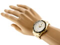 Hodinky dámske TOMMY HILFIGER 1791365 ERIK (zf530a)
